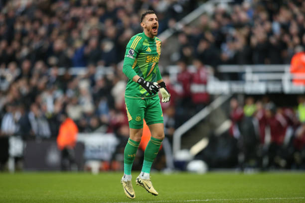 不仅增加了 不仅增加了